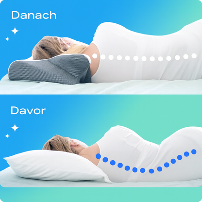 ErgoVella Pillow